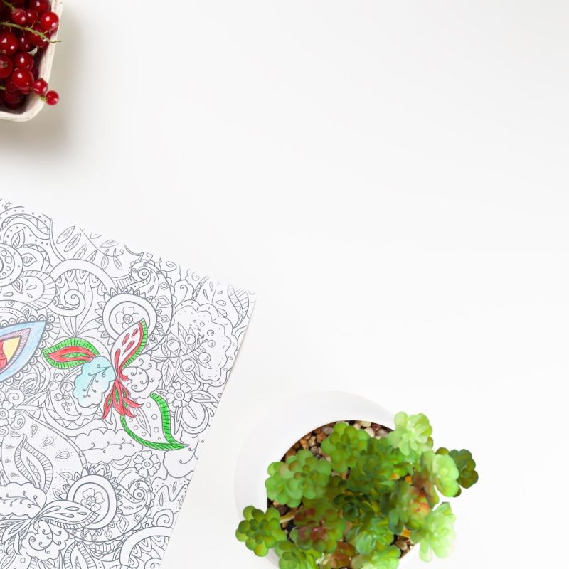 Creative Mandala Coloring Book with Pencils and house plant Colored mandala book and colorful pencils banner on light background. Art therapy and mental wellness